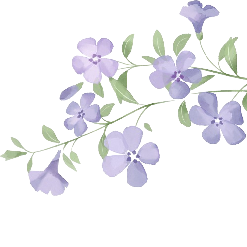 envelop flower
